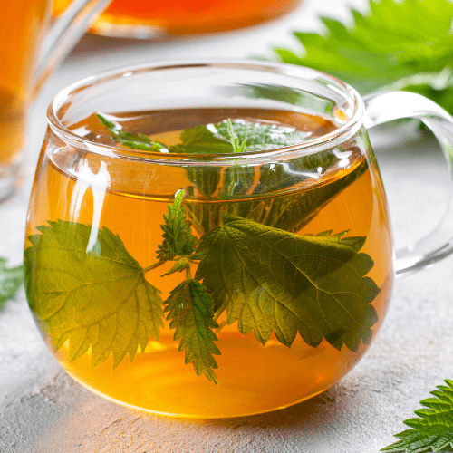 خواص گیاه گزنه برای مقابله با خستگی